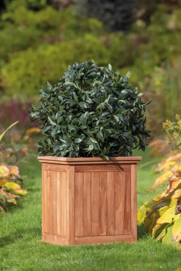 Bloembak teak Kalimantan klein 2