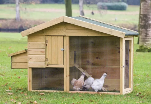 Dierenverblijf Barnevelder 1
