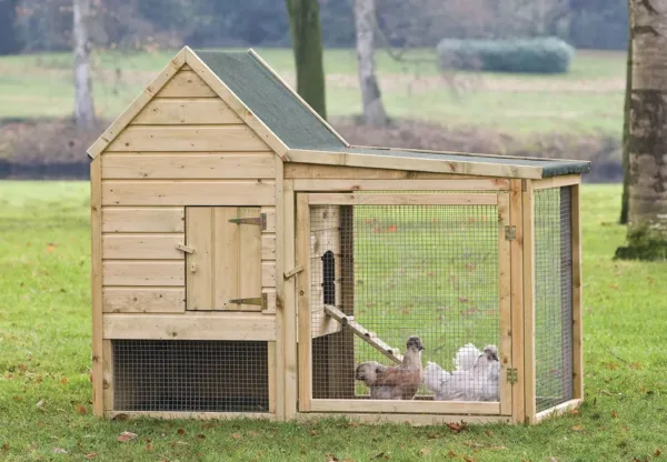 Dierenverblijf Wyandotte 1