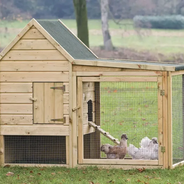 Dierenverblijf Wyandotte 1