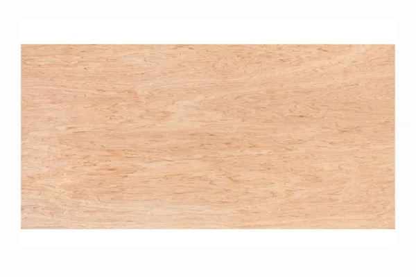 Premium Multiplex 18mm 244 x 122 cm 1