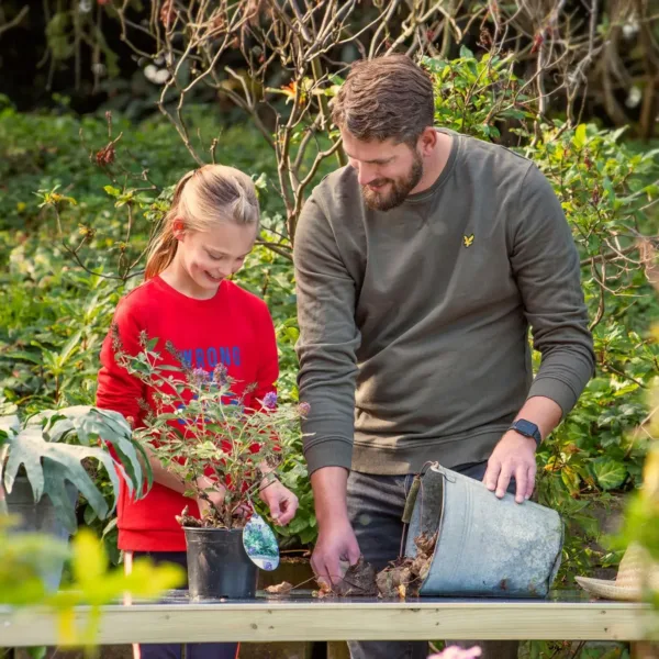 Werkbank XXL grenen groen geïmpregneerd met zinken blad 2